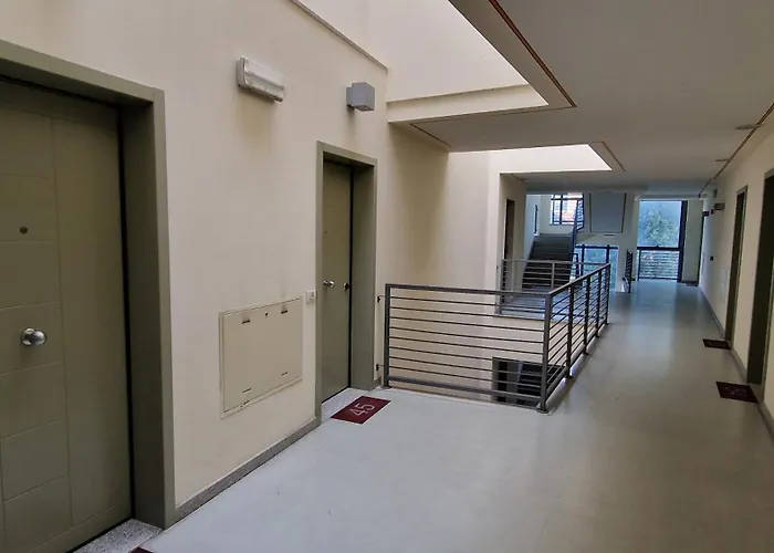 Dolcenido Meyer Florence